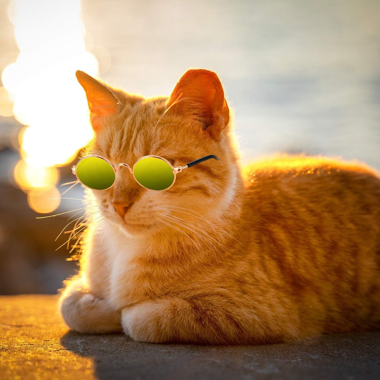 10 Pieces Cat & Dog Sunglasses 