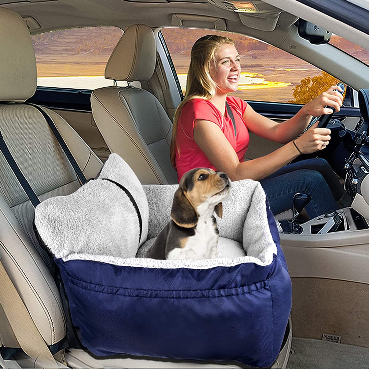 Dog Car Seat for Small Dogs, Fully Detachable and Washable