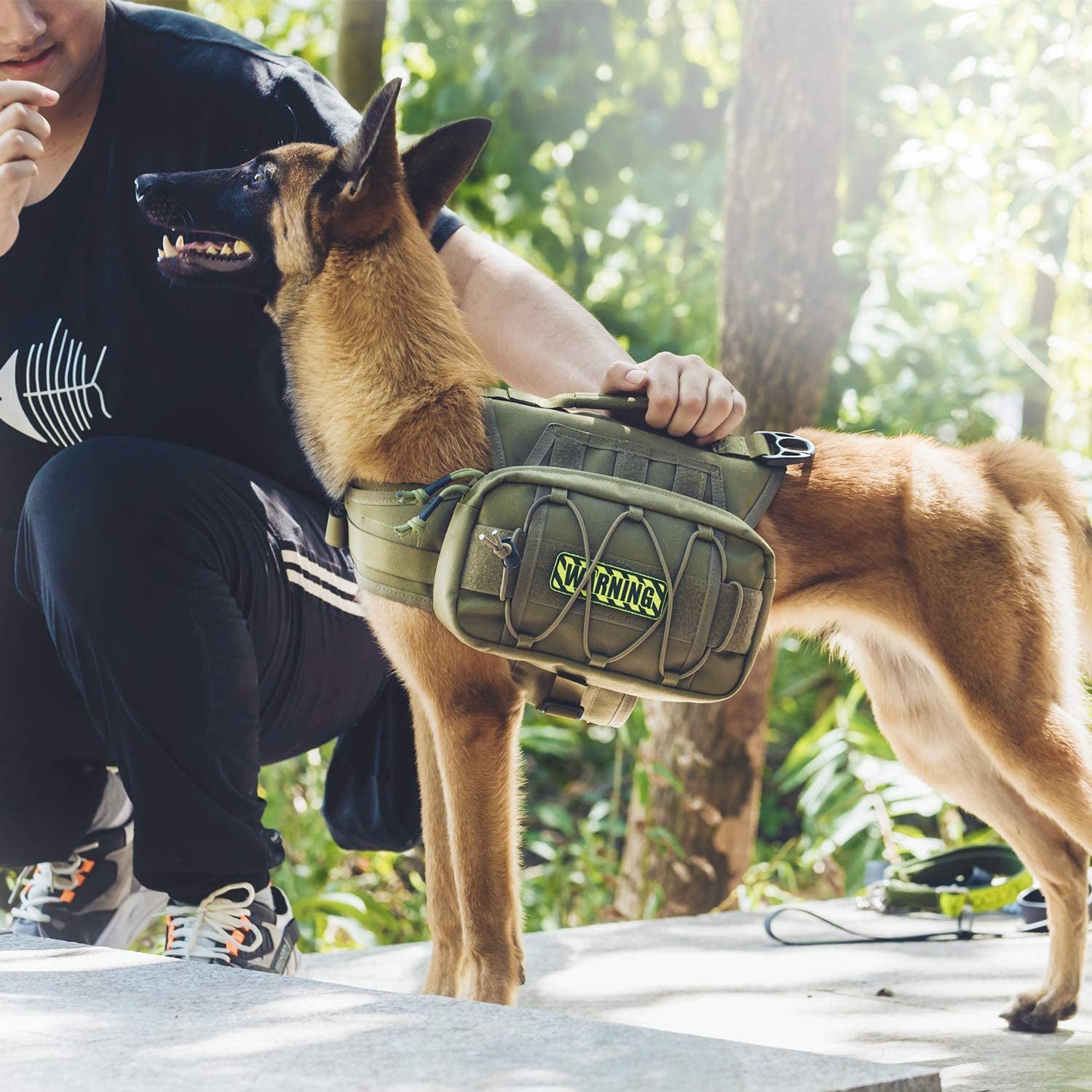 Dog Backpack for Medium & Large Dogs