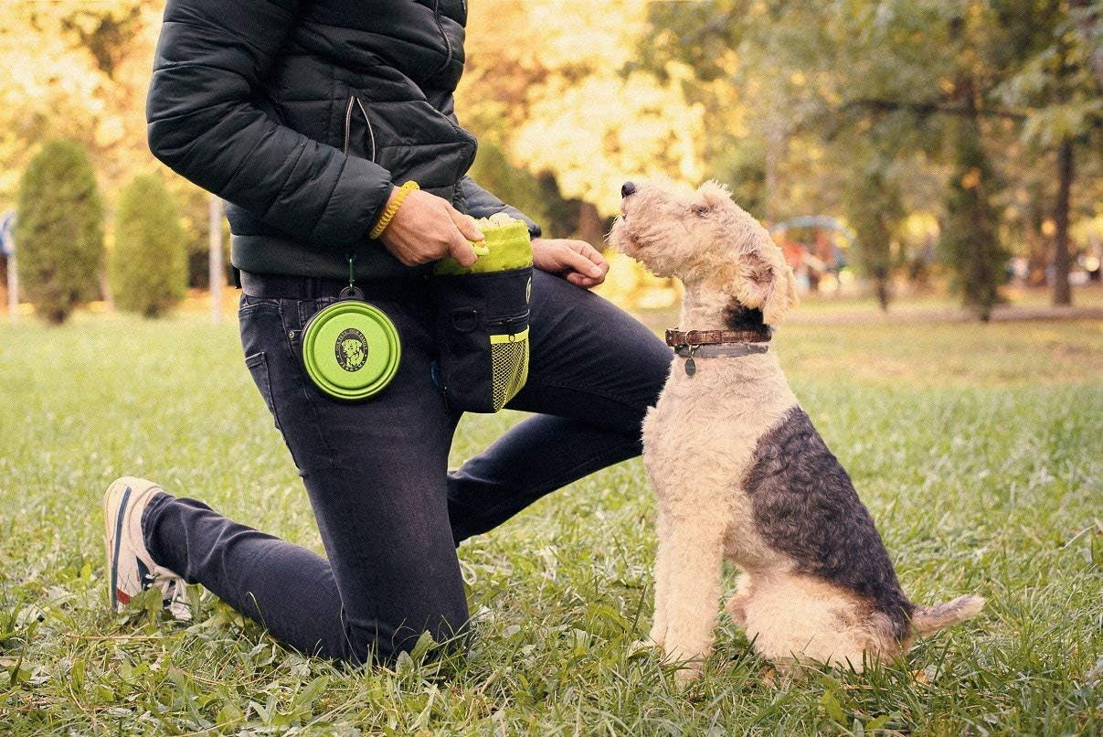 Dog Treat Pouch - Premium Training Treat Bag with Clicker and Collapsible Bowl for Dogs