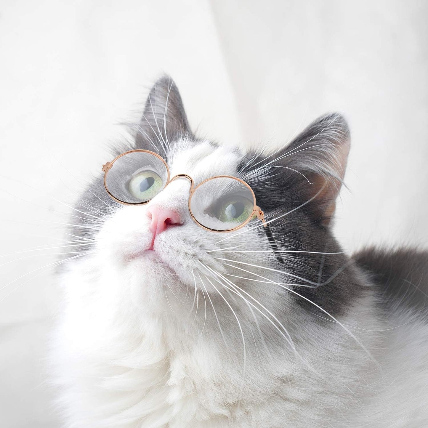 10 Pieces Cat & Dog Sunglasses 