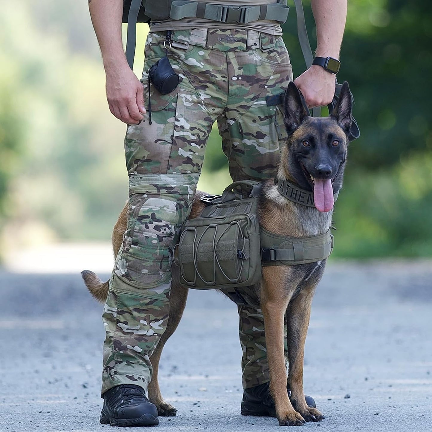 Dog Backpack for Medium & Large Dogs