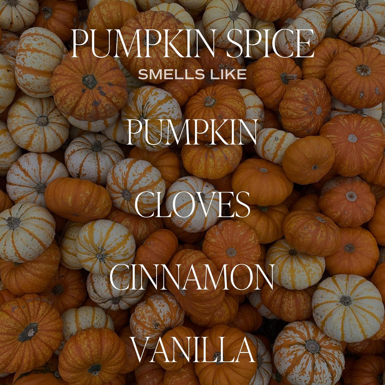 Pumpkin Spice Candle - Fall Candles with Pumpkin, Clover, Cinnamon & Vanilla Scent 