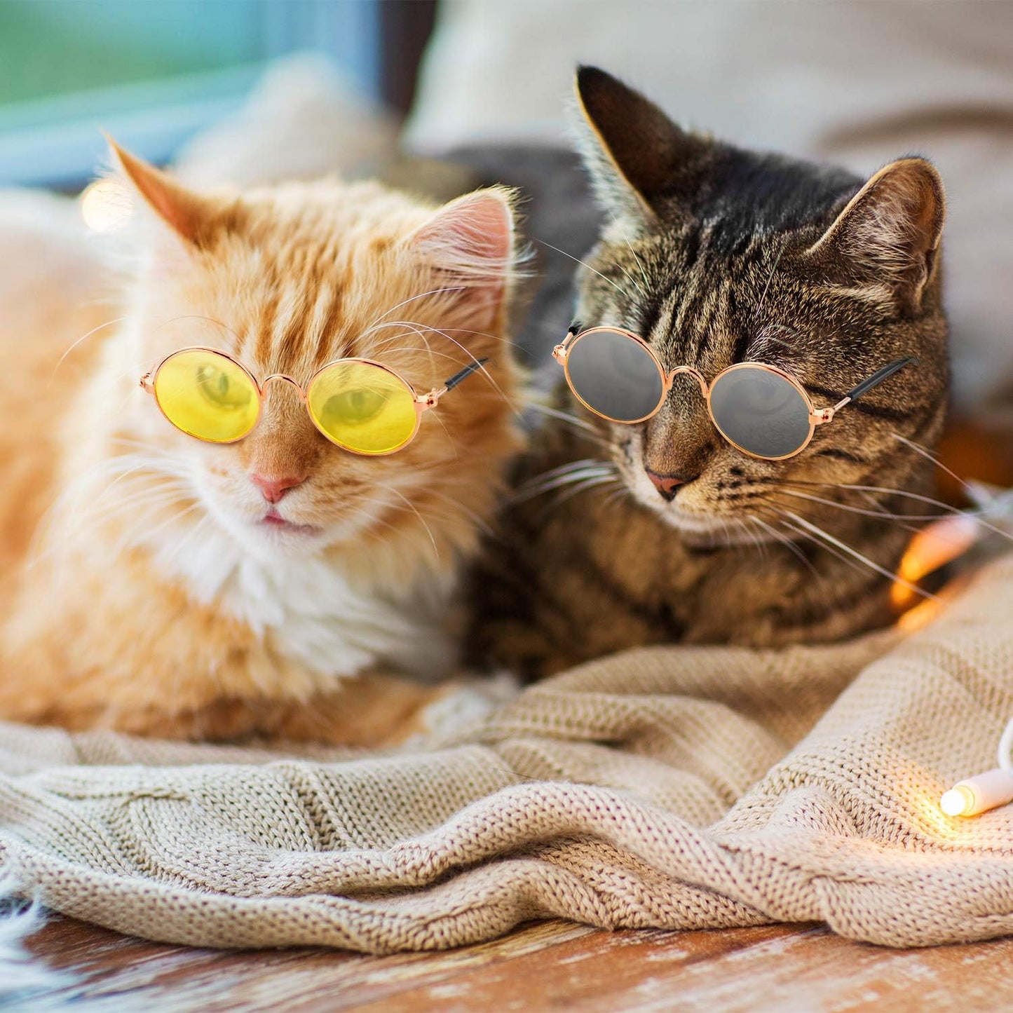 10 Pieces Cat & Dog Sunglasses 