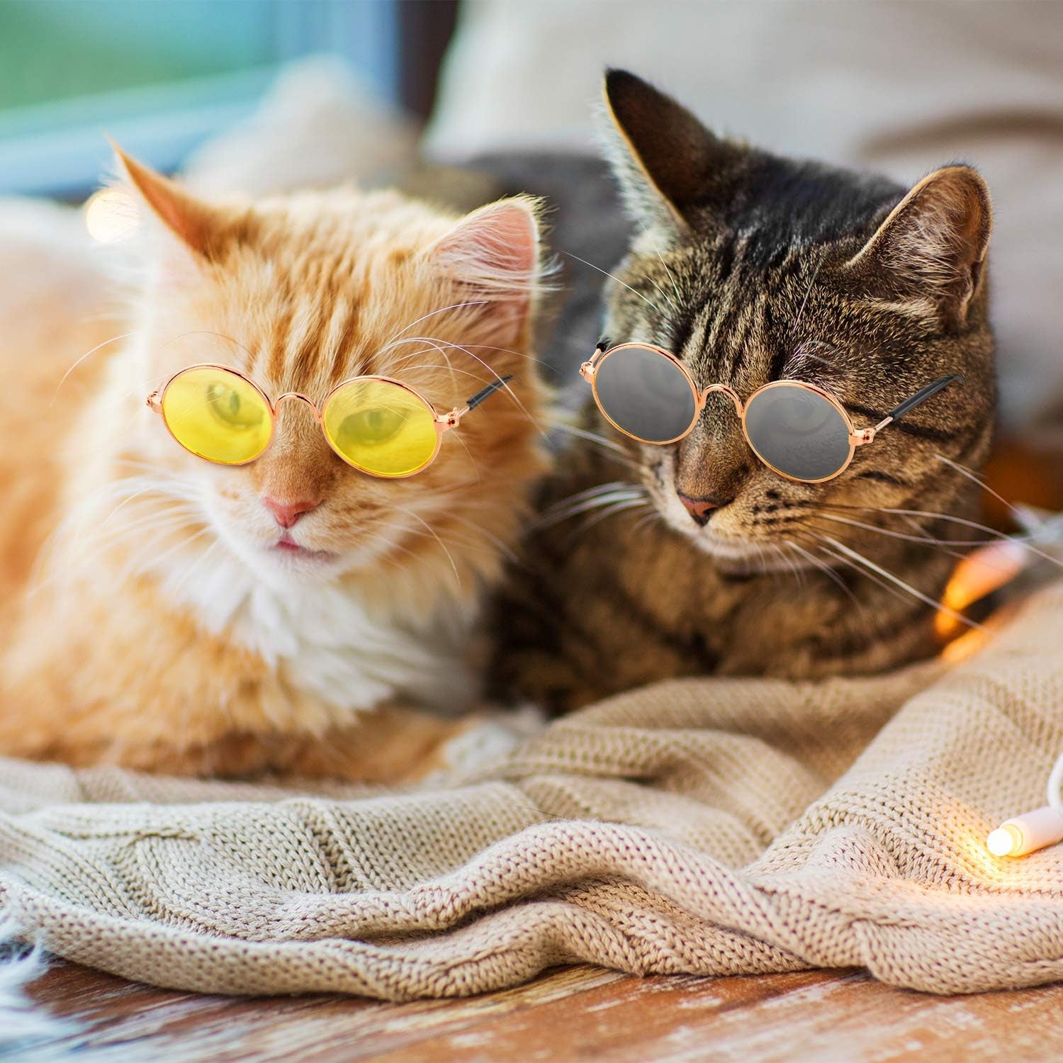 10 Pieces Cat & Dog Sunglasses 