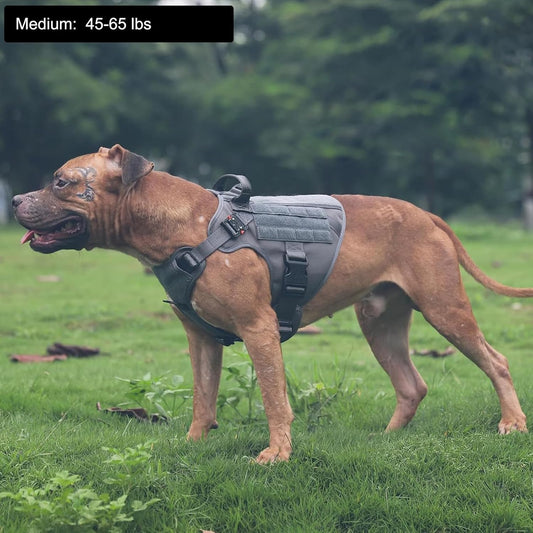 Tactical Dog Harness