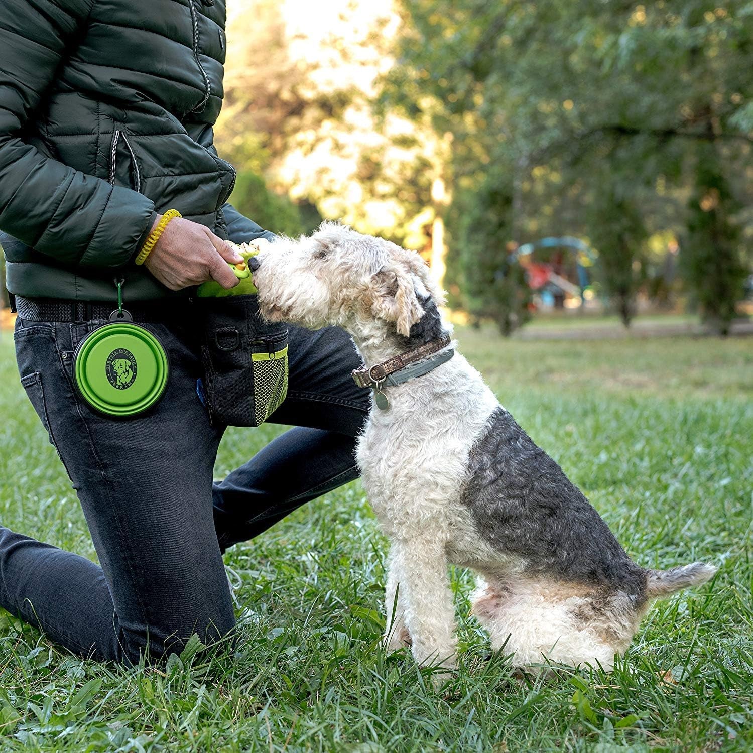 Dog Treat Pouch - Premium Training Treat Bag with Clicker and Collapsible Bowl for Dogs
